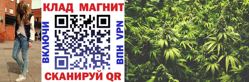 Где можно купить наркотики Спасск Кокаин  Меф мяу мяу  APVP  Бошки Шишки 
