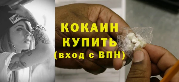 гидра Горнозаводск
