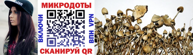 купить наркотик  Спасск  это официальный сайт  Псилоцибиновые грибы Psilocybine cubensis 